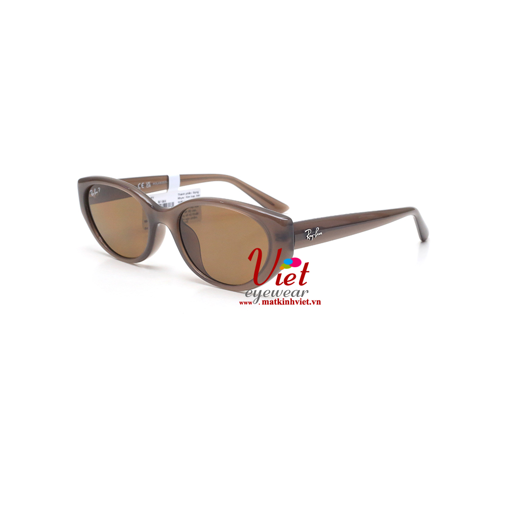 Kính mát RayBan RB4457D 6779/83